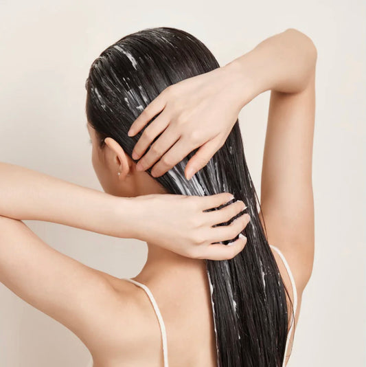 SEMI DI LINO MOISTURE DRY HAIR